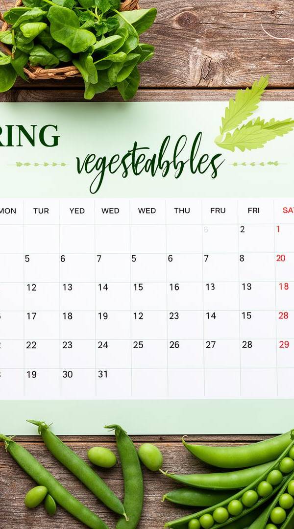 Fruits et légumes bio de saison : le calendrier complet mois par mois (France 2026)